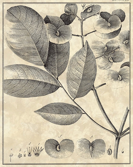 Floral for JAHRRIESNGE flowers-lpf06794  Floral JAHRRIESNGE  for flowers-lpf06794