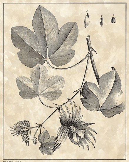 Floral for JAHRRIESNGE flowers-lpf06796  Floral JAHRRIESNGE  for flowers-lpf06796