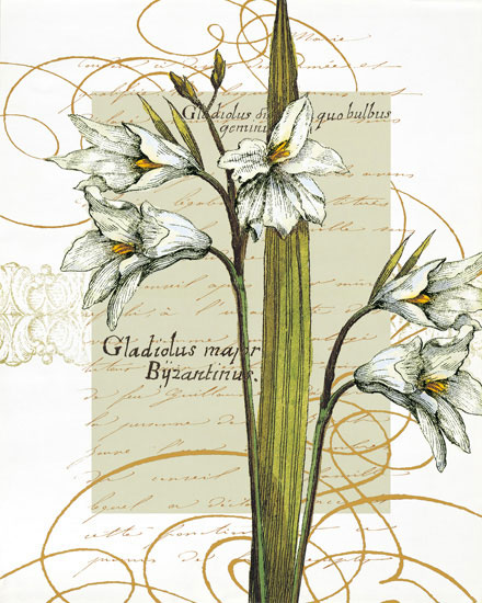 Floral for JAHRRIESNGE flowers-lpf06821  Floral JAHRRIESNGE  for flowers-lpf06821