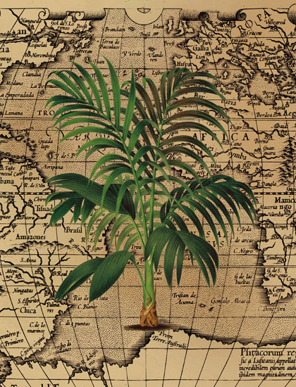 Floral for JAHRRIESNGE grass-lpf06841  Floral JAHRRIESNGE  for grass-lpf06841