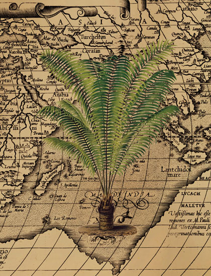 Floral for JAHRRIESNGE grass-lpf06842  Floral JAHRRIESNGE  for grass-lpf06842