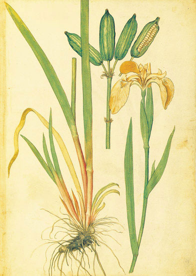 Floral for JAHRRIESNGE flowers-lpf06885  Floral JAHRRIESNGE  for flowers-lpf06885