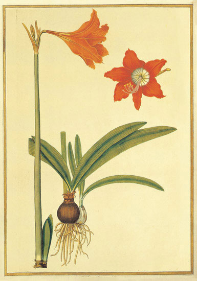 Floral for JAHRRIESNGE flowers-lpf06887  Floral JAHRRIESNGE  for flowers-lpf06887