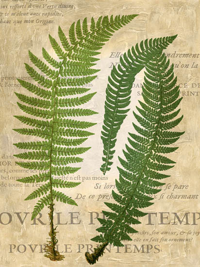 Floral for JAHRRIESNGE leaves-lpf06896 Floral JAHRRIESNGE for leaves-lpf06896