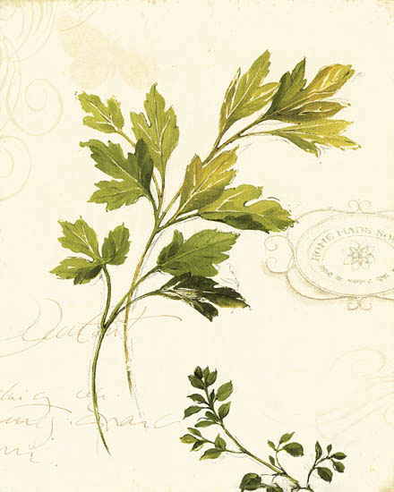 Floral for JAHRRIESNGE leaves-lpf06902  Floral JAHRRIESNGE  for leaves-lpf06902