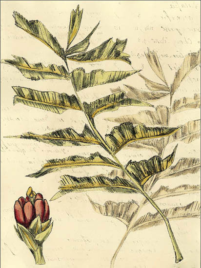 Floral for JAHRRIESNGE flowers-lpf06910  Floral JAHRRIESNGE  for flowers-lpf06910