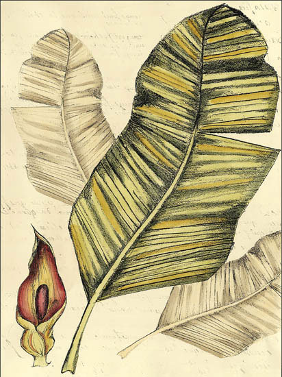 Floral for JAHRRIESNGE flowers-lpf06911  Floral JAHRRIESNGE  for flowers-lpf06911