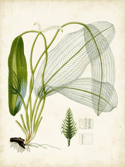 Floral for JAHRRIESNGE flowers-lpf06918  Floral JAHRRIESNGE  for flowers-lpf06918