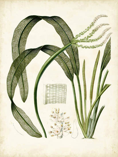 Floral for JAHRRIESNGE flowers-lpf06919  Floral JAHRRIESNGE  for flowers-lpf06919