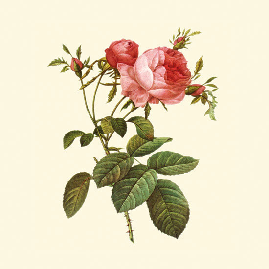 Floral for JAHRRIESNGE flowers-lpf06934  Floral JAHRRIESNGE  for flowers-lpf06934