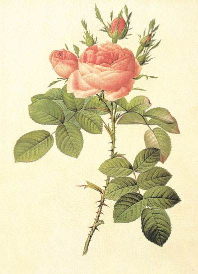 Floral for JAHRRIESNGE flowers-lpf06942  Floral JAHRRIESNGE  for flowers-lpf06942