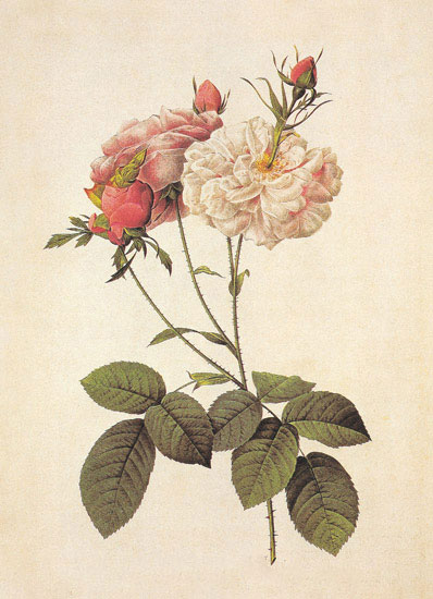 Floral for JAHRRIESNGE flowers-lpf06943  Floral JAHRRIESNGE  for flowers-lpf06943