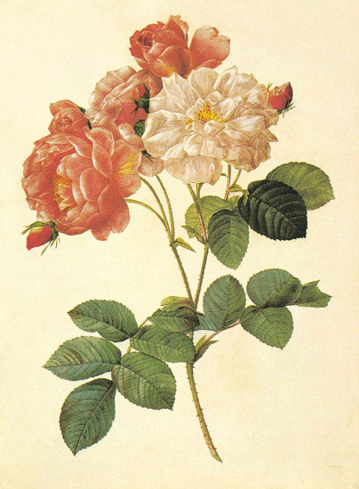 Floral for JAHRRIESNGE flowers-lpf06947  Floral JAHRRIESNGE  for flowers-lpf06947