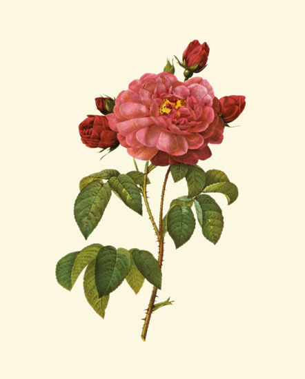 Floral for JAHRRIESNGE flowers-lpf06960 Floral JAHRRIESNGE for flowers-lpf06960