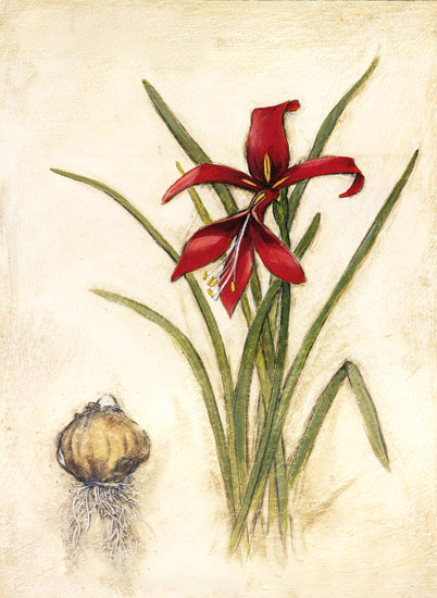 Floral for JAHRRIESNGE flowers-lpf06963 Floral JAHRRIESNGE for flowers-lpf06963