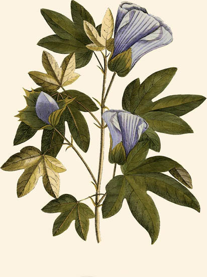 Floral for JAHRRIESNGE flowers-lpf06996 Floral JAHRRIESNGE for flowers-lpf06996