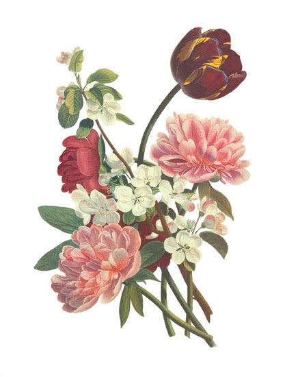 Floral for JAHRRIESNGE flowers-lpf06999 Floral JAHRRIESNGE for flowers-lpf06999