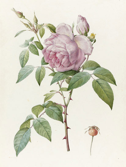 Floral for JAHRRIESNGE flowers-lpf07019 Floral JAHRRIESNGE for flowers-lpf07019