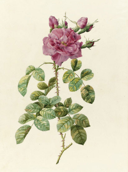 Floral for JAHRRIESNGE flowers-lpf07022 Floral JAHRRIESNGE for flowers-lpf07022