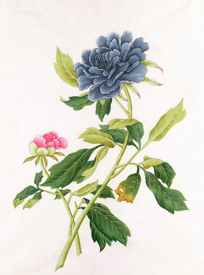 Floral for JAHRRIESNGE flowers-lpf07045 Floral JAHRRIESNGE for flowers-lpf07045