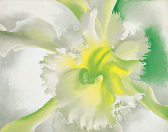 Floral for JAHRRIESNGE flowers-lpf07059 Floral JAHRRIESNGE for flowers-lpf07059