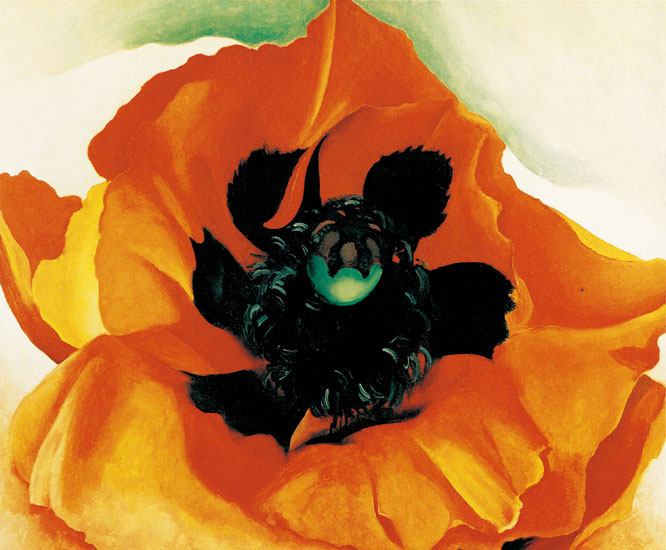 Floral for JAHRRIESNGE flowers-lpf07061 Floral JAHRRIESNGE for flowers-lpf07061