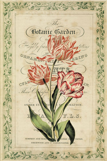 Floral JAHRRIESNGE  for flowers-lpf07085 