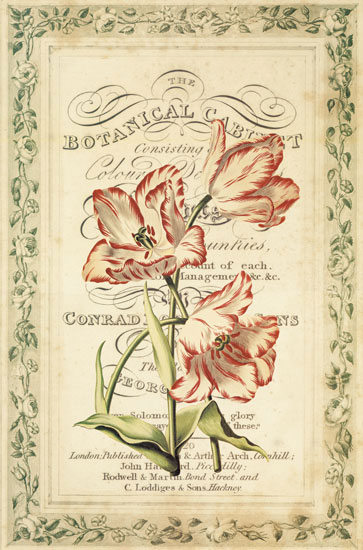 Floral for Jahrriesnge flowers-lpf07086 Floral Jahrriesnge for flowers-lpf07086