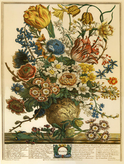 Floral for JAHRRIESNGE flowers-lpf07090 Floral JAHRRIESNGE for flowers-lpf07090