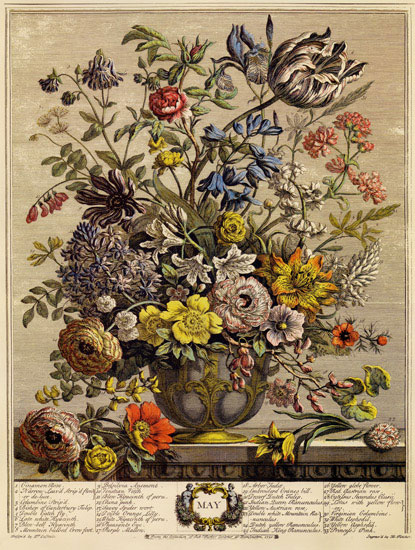 Floral for JAHRRIESNGE flowers-lpf07092 Floral JAHRRIESNGE for flowers-lpf07092