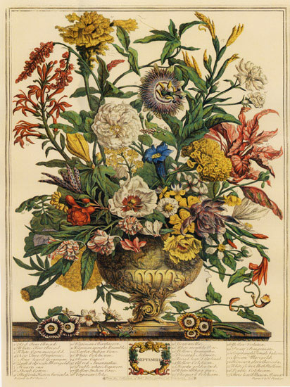 Floral for JAHRRIESNGE flowers-lpf07094 Floral JAHRRIESNGE for flowers-lpf07094