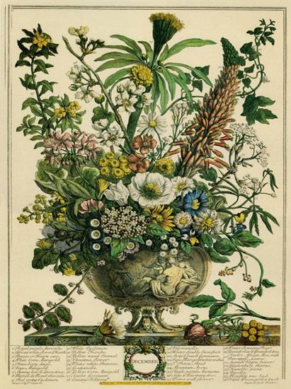 Floral for JAHRRIESNGE flowers-lpf07097 Floral JAHRRIESNGE for flowers-lpf07097