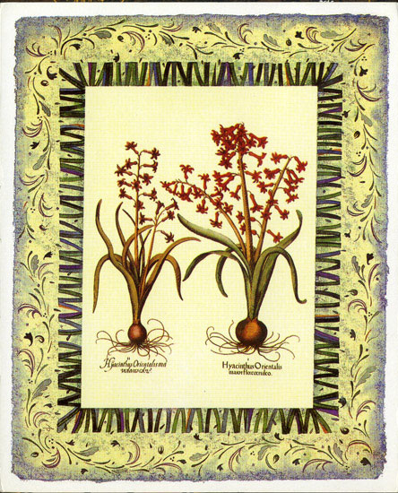 Floral for JAHRRIESNGE flowers-lpf07099 Floral JAHRRIESNGE for flowers-lpf07099