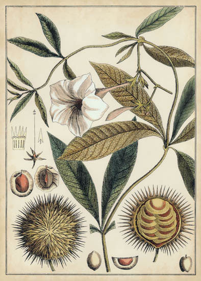 Floral for JAHRRIESNGE flowers-lpf07113 Floral JAHRRIESNGE for flowers-lpf07113