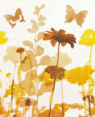 Floral for JAHRRIESNGE flowers-lpf07155 Floral JAHRRIESNGE for flowers-lpf07155