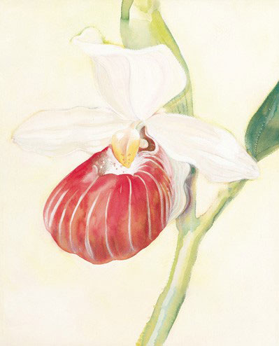 Floral for JAHRRIESNGE flowers-lpf07175 Floral JAHRRIESNGE for flowers-lpf07175