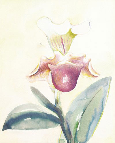 Floral for JAHRRIESNGE flowers-lpf07176 Floral JAHRRIESNGE for flowers-lpf07176