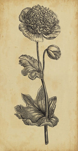 Floral for JAHRRIESNGE flowers-lpf07201 Floral JAHRRIESNGE for flowers-lpf07201