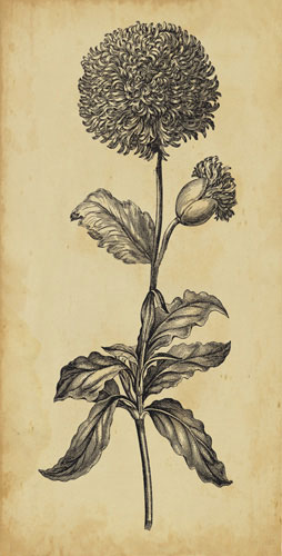 Floral for JAHRRIESNGE flowers-lpf07202 Floral JAHRRIESNGE for flowers-lpf07202