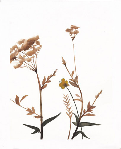 Floral for JAHRRIESNGE flowers-lpf07209 Floral JAHRRIESNGE for flowers-lpf07209