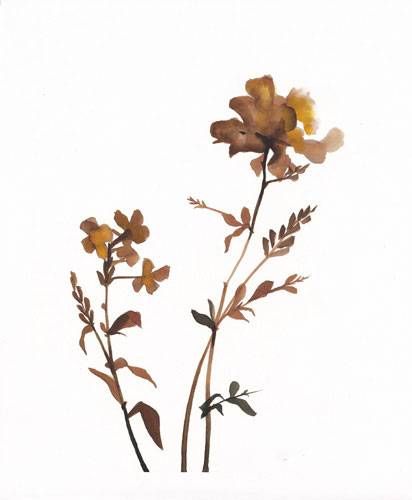 Floral for JAHRRIESNGE flowers-lpf07210 Floral JAHRRIESNGE for flowers-lpf07210