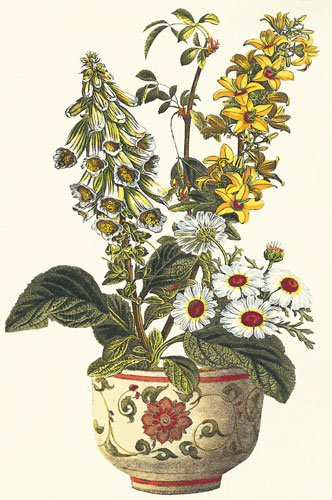 Floral for JAHRRIESNGE flowers-lpf07236 Floral JAHRRIESNGE for flowers-lpf07236