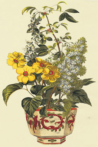 Floral for JAHRRIESNGE flowers-lpf07237 Floral JAHRRIESNGE for flowers-lpf07237