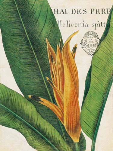 Floral for JAHRRIESNGE flowers-lpf07267 Floral JAHRRIESNGE for flowers-lpf07267