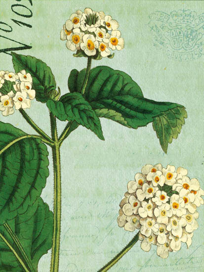 Floral for JAHRRIESNGE flowers-lpf07269 Floral JAHRRIESNGE for flowers-lpf07269