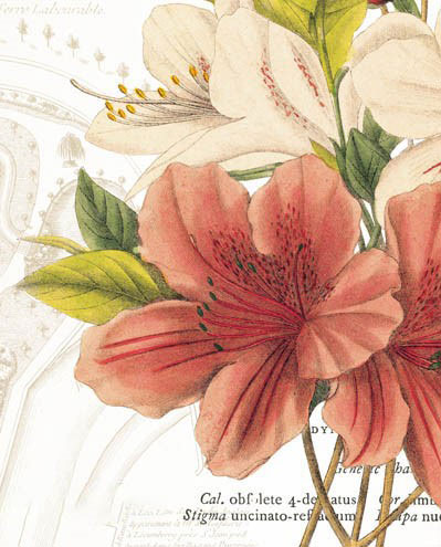 Floral for JAHRRIESNGE flowers-lpf07281 Floral JAHRRIESNGE for flowers-lpf07281