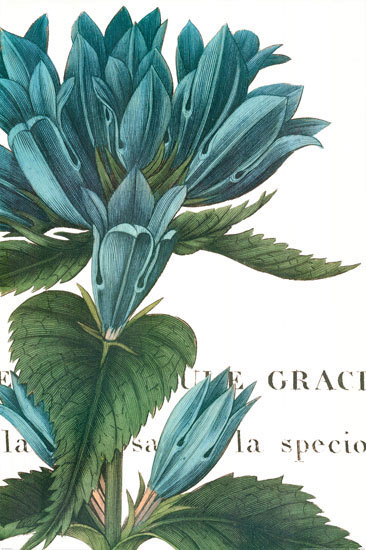 Floral for JAHRRIESNGE flowers-lpf07283 Floral JAHRRIESNGE for flowers-lpf07283