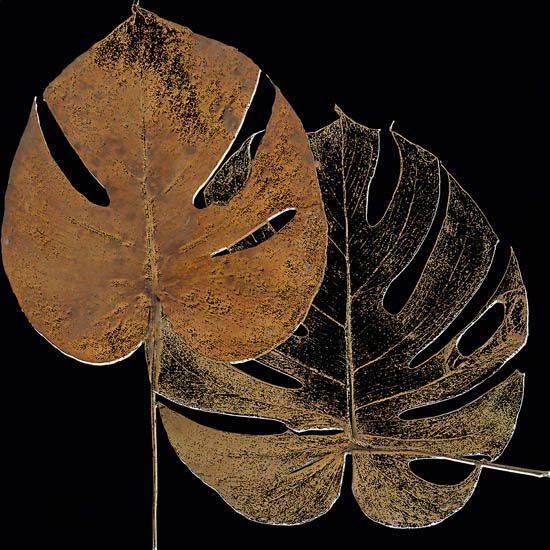 Floral for JAHRRIESNGE leaf-lpf07350 Floral JAHRRIESNGE for leaf-lpf07350