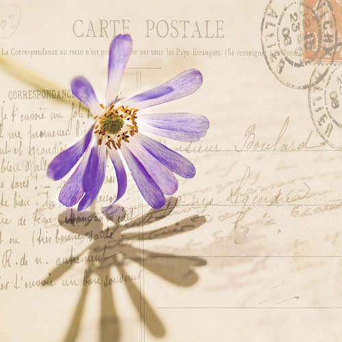 Floral for JAHRRIESNGE flowers-lpf07389 Floral JAHRRIESNGE for flowers-lpf07389