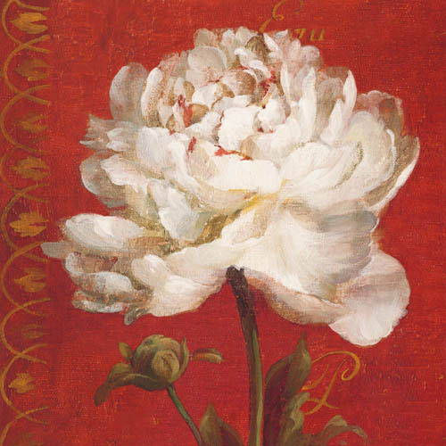 Floral Jahrriesnge  for flowers-lpf07392 